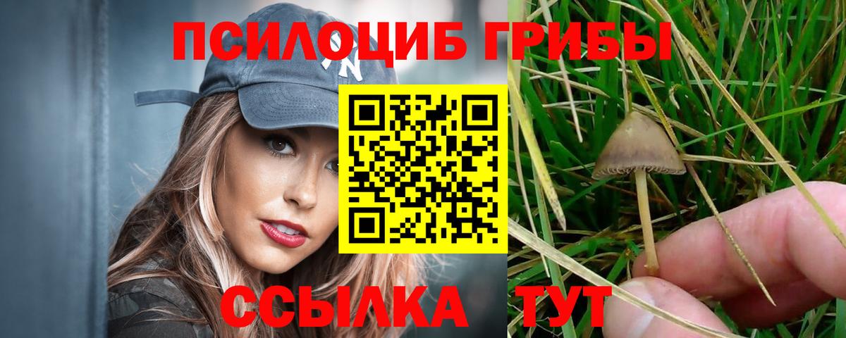 Псилоцибиновые грибы ЛСД Ачхой-Мартан