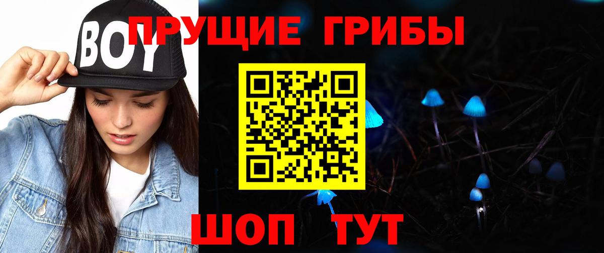 Галлюциногенные грибы Psilocybe  Вход с VPN  Ачхой-Мартан 